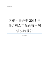 区审计局关于2018年意识形态工作自查自纠情况的报告2019年