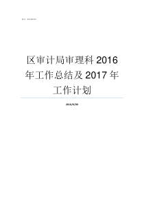 区审计局审理科2016年工作总结及2017年工作计划案件到了审理科