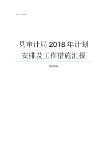 县审计局2018年计划安排及工作措施汇报审计局