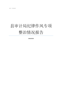 县审计局纪律作风专项整治情况报告开展纪律作风专项整治行动