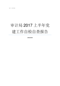 审计局2017上半年党建工作自检自查报告