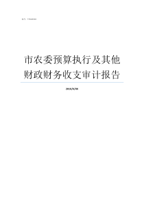 市农委预算执行及其他财政财务收支审计报告市农委主任