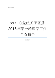 xx中心党组关于区委2018年第一轮巡察工作自查报告党委大还是党组大