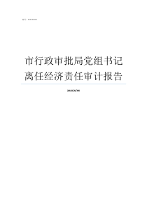 市行政审批局党组书记离任经济责任审计报告