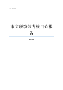 市文联绩效考核自查报告