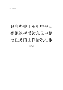 政府办关于承担中央巡视组巡视反馈意见中整改任务的工作情况汇报中央第四巡视组