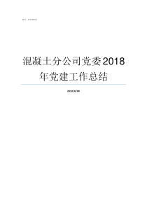 混凝土分公司党委2018年党建工作总结岳达混凝土有限公司