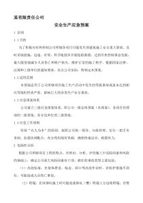 公司级别安全应急预案资料