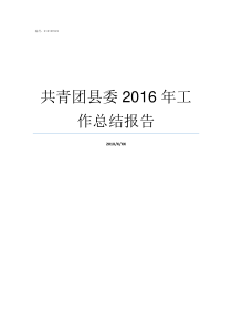 共青团县委2016年工作总结报告共青团县委