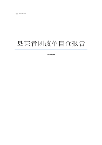 县共青团改革自查报告改革落实自查报告