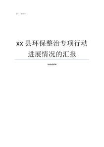 xx县环保整治专项行动进展情况的汇报环保专项整治行动