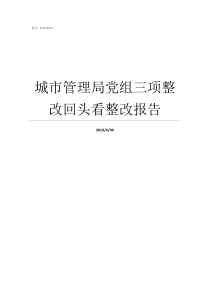 城市管理局党组三项整改回头看整改报告