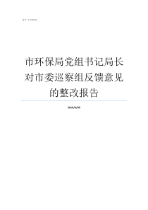 市环保局党组书记局长对市委巡察组反馈意见的整改报告