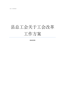 县总工会关于工会改革工作方案全国总工会改革试点方案