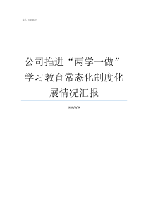 公司推进两学一做学习教育常态化制度化展情况汇报持续推进两学一做