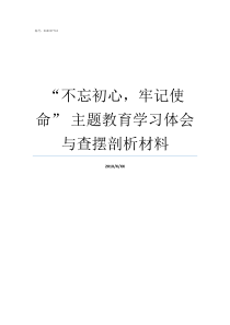 不忘初心牢记使命nbsp主题教育学习体会与查摆剖析材料如何理解不忘初心