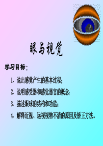 七年级生物《眼与视觉》课件