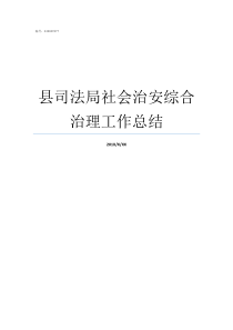 县司法局社会治安综合治理工作总结