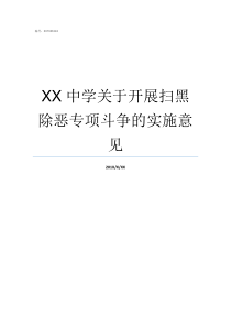 XX中学关于开展扫黑除恶专项斗争的实施意见