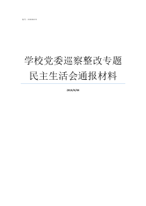 学校党委巡察整改专题民主生活会通报材料镇党委巡察整改报告