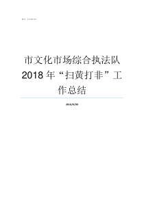 市文化市场综合执法队2018年扫黄打非工作总结文化市场综合行政执法队