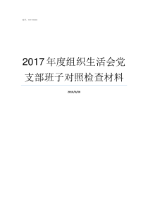 2017年度组织生活会党支部班子对照检查材料