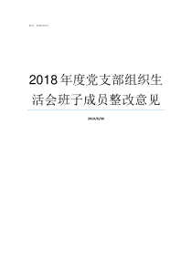 2018年度党支部组织生活会班子成员整改意见总结2018年度党支部的工作