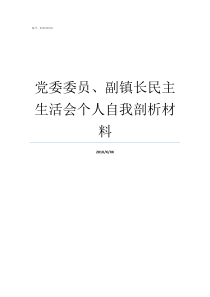 党委委员副镇长民主生活会个人自我剖析材料乡镇党委委员副镇长