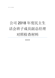 公司2018年度民主生活会班子成员副总经理对照检查材料2018年度报告怎么