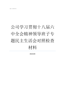 公司学习贯彻十八届六中全会精神领导班子专题民主生活会对照检查材料