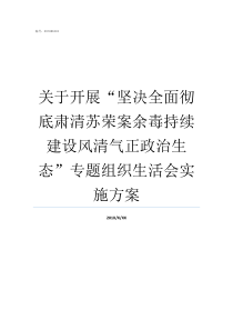 关于开展坚决全面彻底肃清苏荣案余毒持续建设风清气正政治生态专题组织生活会实施方案坚决四个全面三个维护