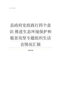 县政府党组践行四个意识nbsp推进生态环境保护和脱贫攻坚专题组织生活会情况汇报