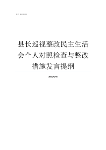 县长巡视整改民主生活会个人对照检查与整改措施发言提纲