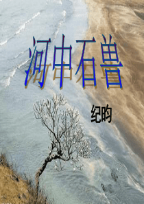 24复习课《河中石兽》