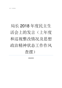 局长2018年度民主生活会上的发言上年度和巡视整改情况及思想政治精神状态工作作风查摆2018中国人电