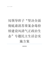 局领导班子坚决全面彻底肃清苏荣案余毒持续建设风清气正政治生态专题民主生活会实施方案中组部二局领导班子