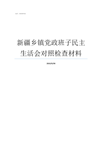 新疆乡镇党政班子民主生活会对照检查材料