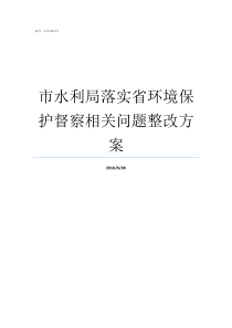 市水利局落实省环境保护督察相关问题整改方案水利局能管水保局吗