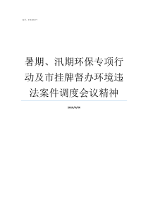 暑期汛期环保专项行动及市挂牌督办环境违法案件调度会议精神环保四个专项行动