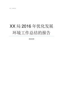 XX局2016年优化发展环境工作总结的报告