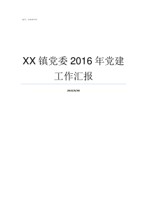 XX镇党委2016年党建工作汇报