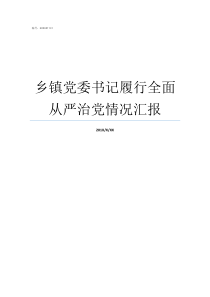 乡镇党委书记履行全面从严治党情况汇报