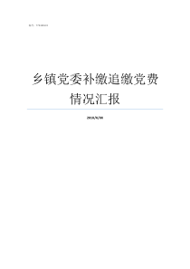 乡镇党委补缴追缴党费情况汇报补交党费谁引起的