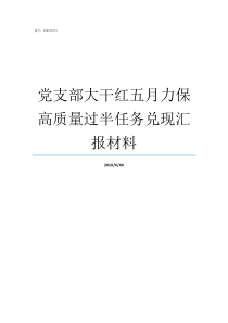 党支部大干红五月力保高质量过半任务兑现汇报材料