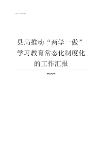 县局推动两学一做学习教育常态化制度化的工作汇报