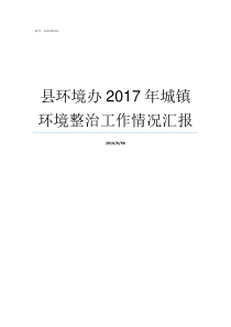 县环境办2017年城镇环境整治工作情况汇报环境8282017