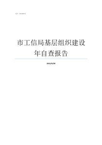 市工信局基层组织建设年自查报告