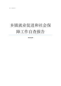 乡镇就业促进和社会保障工作自查报告如何促进社会就业和提高工资