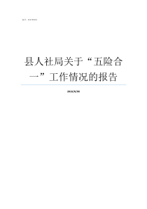 县人社局关于五险合一工作情况的报告五险合并