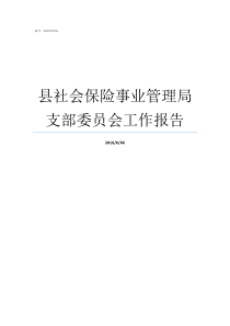 县社会保险事业管理局支部委员会工作报告吉林省社会保险事业管理局